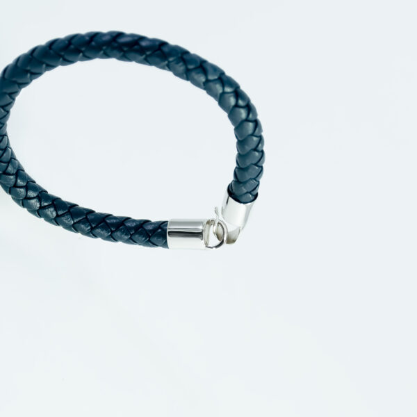 Azure Garfield Braid