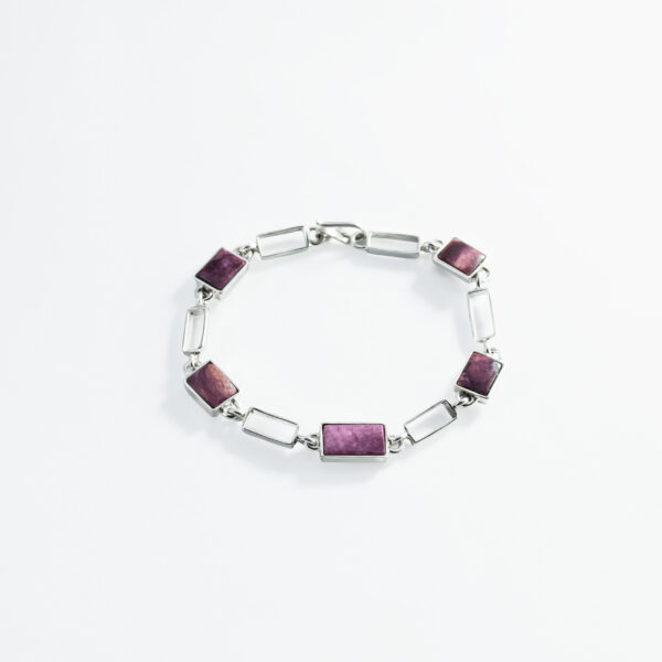 GEOMETRIC SHELL LINK