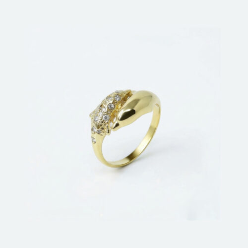 Celestial Dolphin Duo