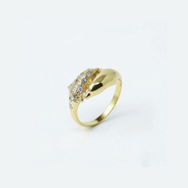 Celestial Dolphin Duo