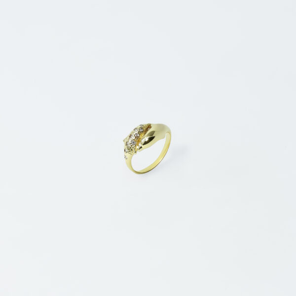 Celestial Dolphin Duo