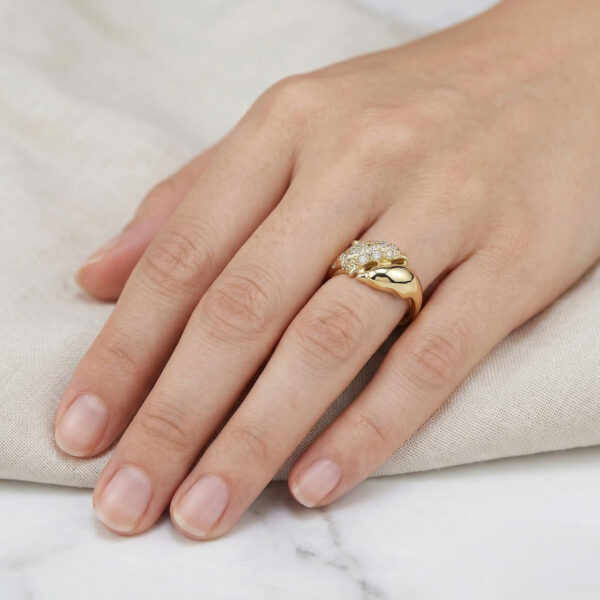 Celestial Dolphin Duo