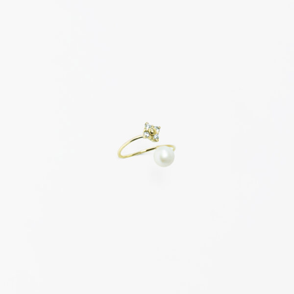 BOTANICAL PEARL FUSION