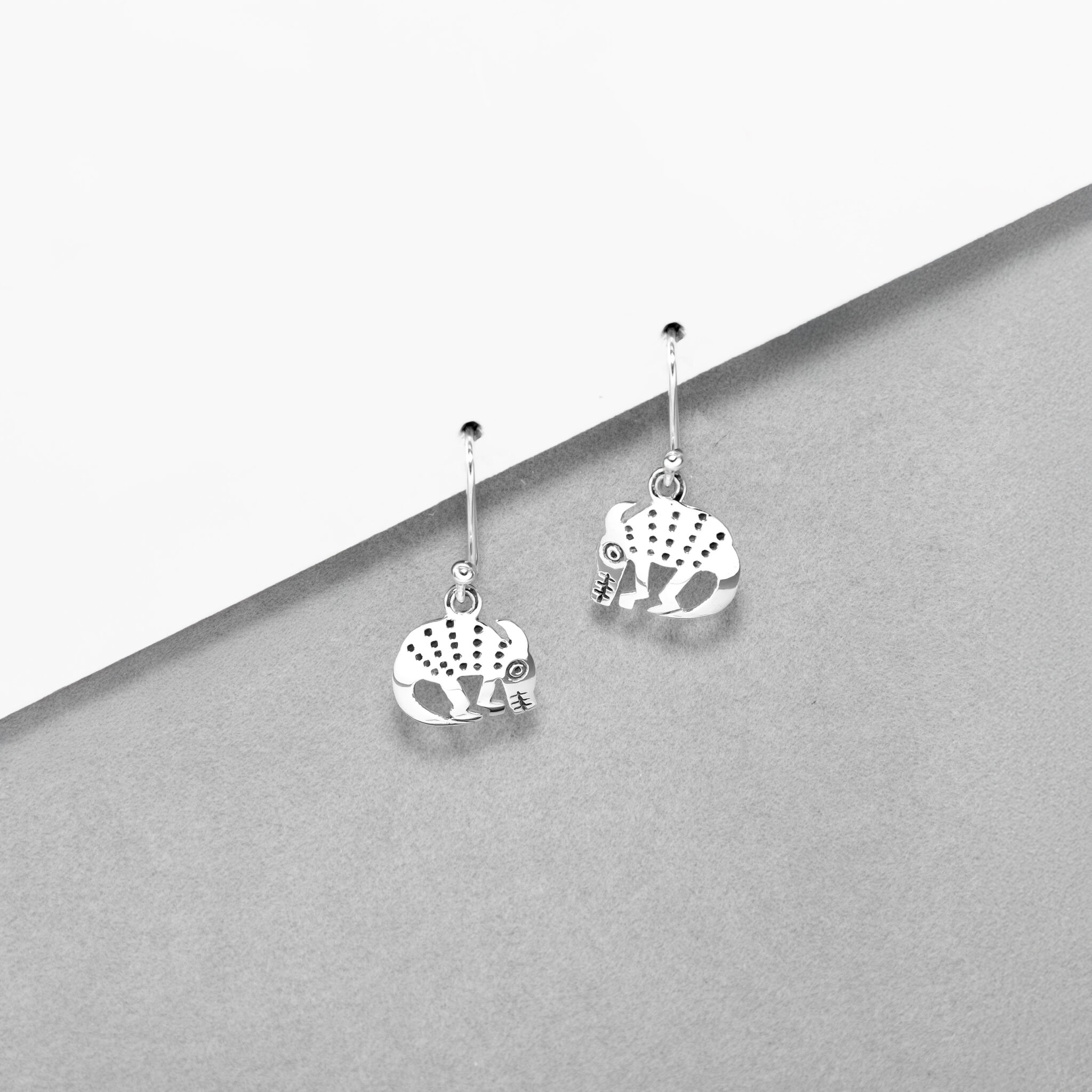 Armadillo Heritage Hooks