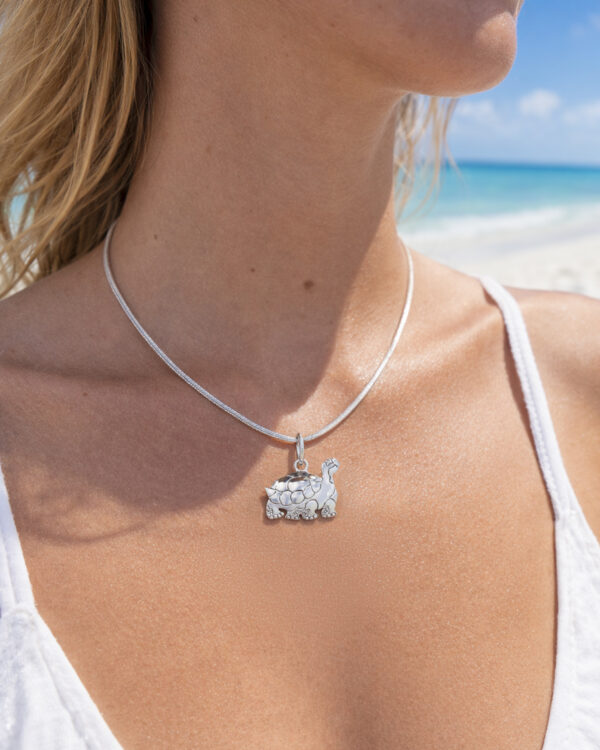 Galapagos Essence Charm