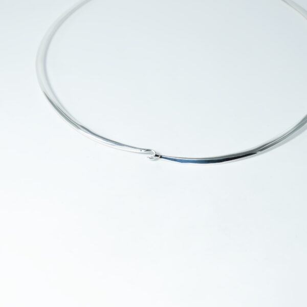 Soaring Condor Statement